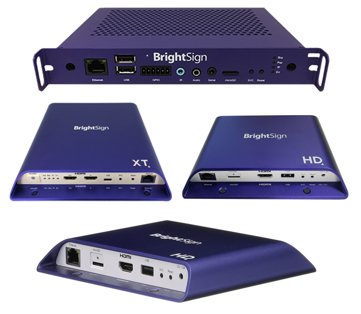 1_brightsign_head 1_brightsign_head